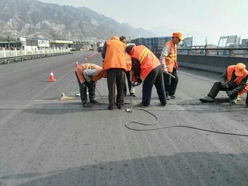 楚雄道路桥梁病害治理